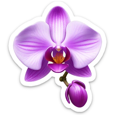 orchid flower sticker