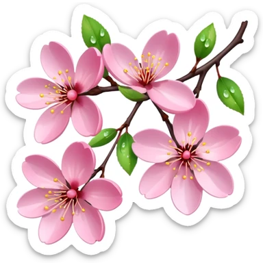 Realistic cherry blossom flowers, high definition, dew drops, realistic branches  sticker