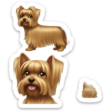 yorkshire terrier long hair girl with ponytail  sticker