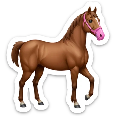 Bay horse with pink nose  sticker