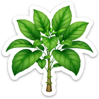 Zeta Levana plant sticker