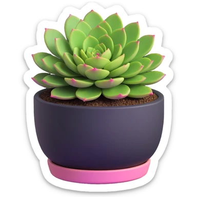3D style succulent green with pink highlights in a round planter sticker