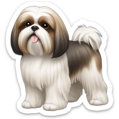 Dog Shih Tzu with long wool full-height  sticker