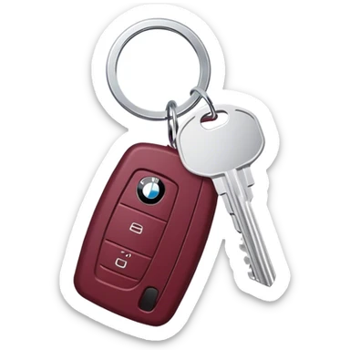 bmw car key burgundy sticker
