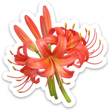 Spider lily bouquet sticker