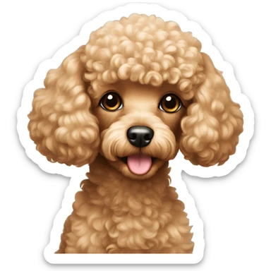 Toy poodle sticker