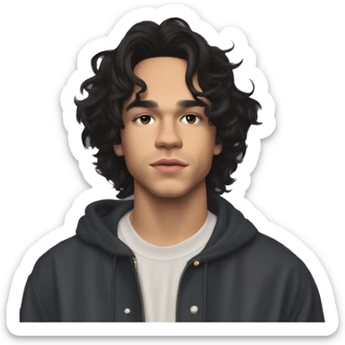 Conan Gray is an American singer-songwriter and former YouTuber. Born in Lemon Grove, California, and raised in Georgetown, Texas, he began uploading vlogs, covers, and original songs to YouTube. dark hair, long short rockstar sticker