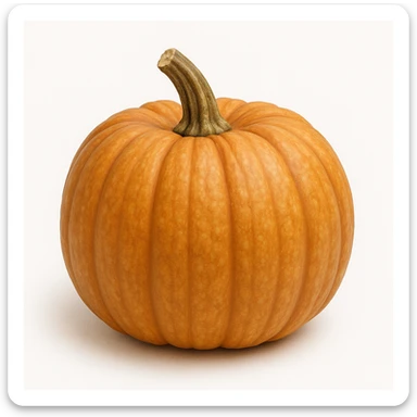 realistic pumpkin vegetable, no face, no Halloween theme, no decorations, no carving sticker