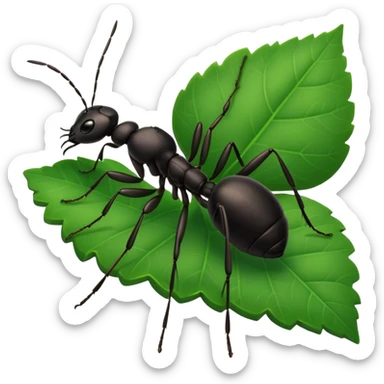 a black ant on leaf sticker