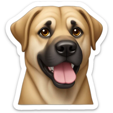 Berger Anatolie kangal sticker