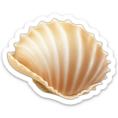 sea shell sticker