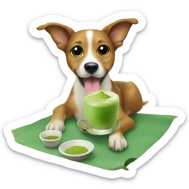 Dog with two legs drinking a matcha on the beach sticker