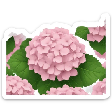 light pink hydrangea  sticker