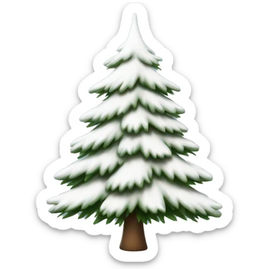  actual white fir christmas tree isolated.  sticker