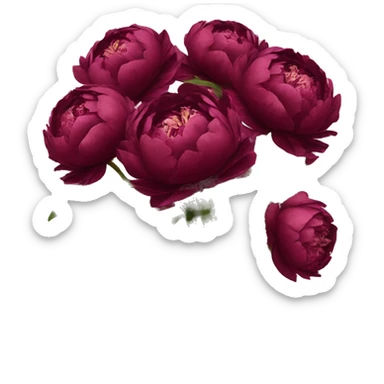 bouquet of burgundy peonies  sticker
