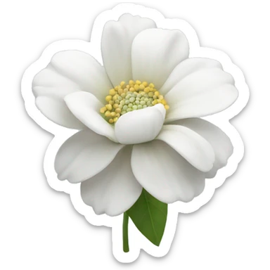 white flower sticker