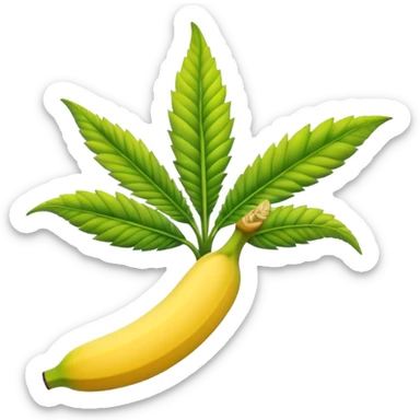 banana weed strain with a cannabis leaf accent sticker