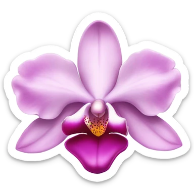 Pink orchid sticker