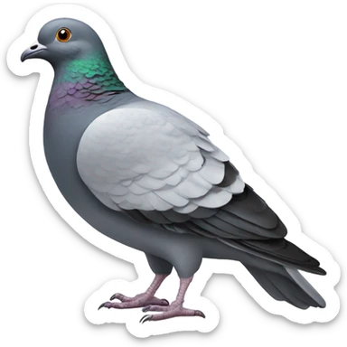 pigeon with head on side sticker