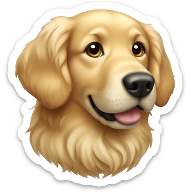 Create an image of a Golden Retriever with a fluffy coat that is slightly golden, almost cream. With round, dark eyes, a broad nose and slightly wavy hanging ears. sticker