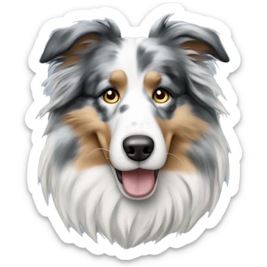 long hair collie blue merle sticker