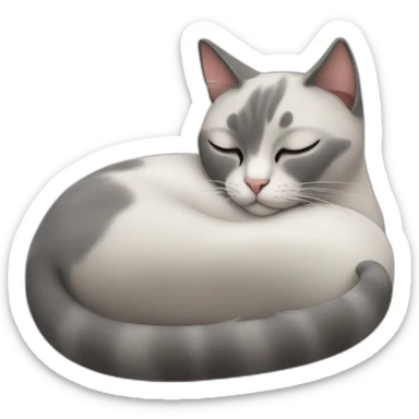 grey and white cat sleeping with siamese cat sticker