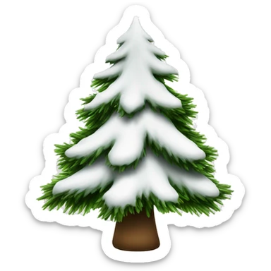  actual white fir christmas tree isolated.  sticker