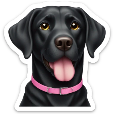 Black Labrador dog wearing pink collar  sticker