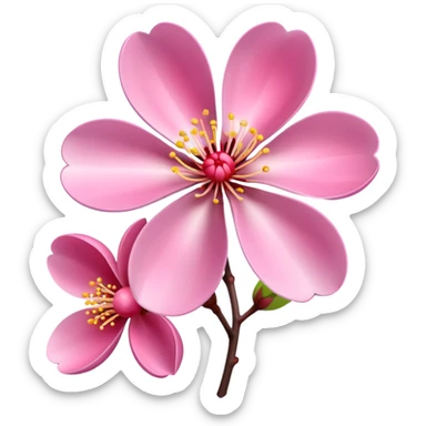 Realistic plum blossom flower, high definition, dewdrops,  sticker