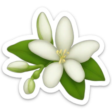 Night Jasmine flower sticker