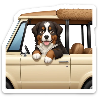 Bernese mountain dog in a cream colored ford bronco with no roof sticker