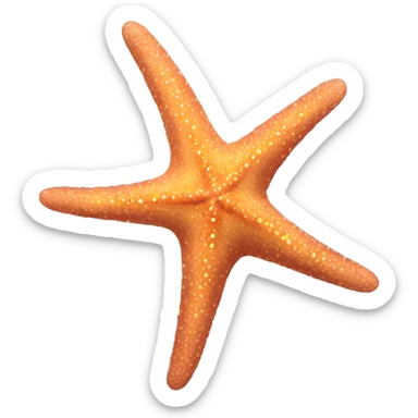 sea star sticker