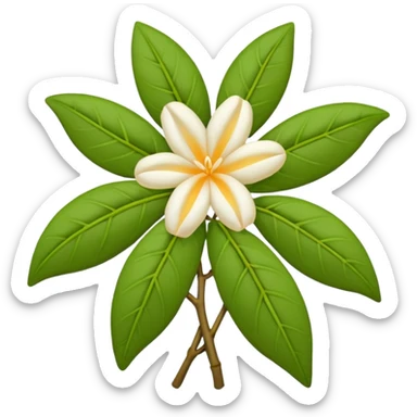 wilted indian jasmine in emoji format sticker