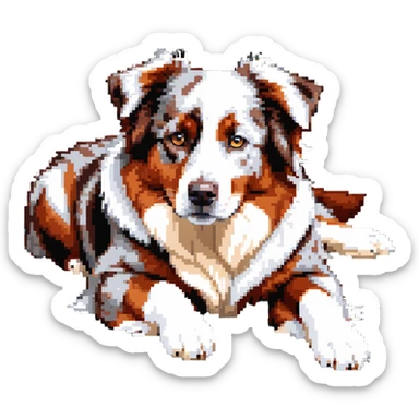 Red merle Australian Shepherd dog laying down, copper and white spotted coat sticker