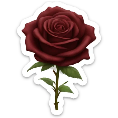 Realistic dark red rose  sticker