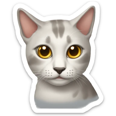 gato con anteojos sticker