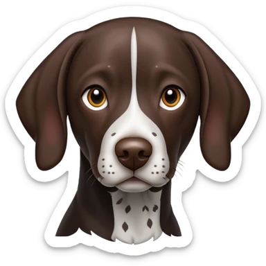 black German shorthair pointer dog sticker