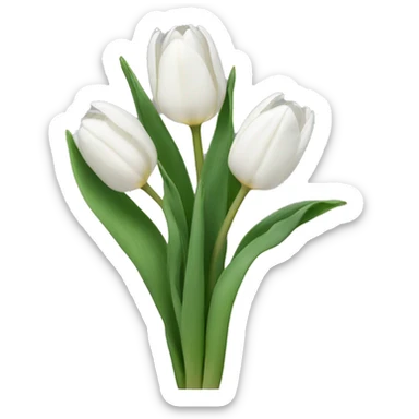 White tulips sticker