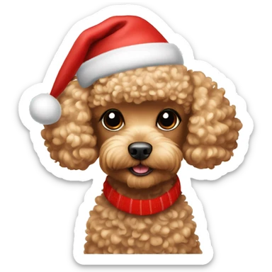 Toy poodle in blondish aprekott wearing a Christmas hat sticker
