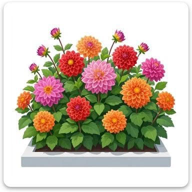 Dahlia flower bed sticker