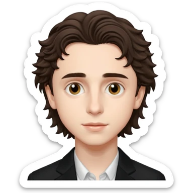 Timothee chalamet sticker
