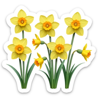 Daffodils easter sticker