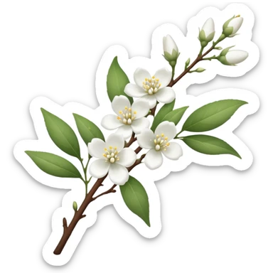 a branch with flowering white buds and flowers sticker