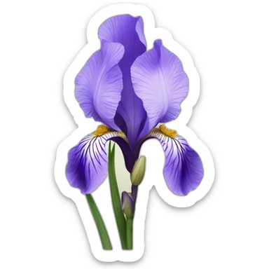 iris flora in anemone sticker