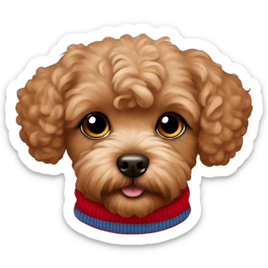Brown Maltipoo in red sweater sticker