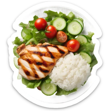 Grilled chicken, rice, salad  sticker