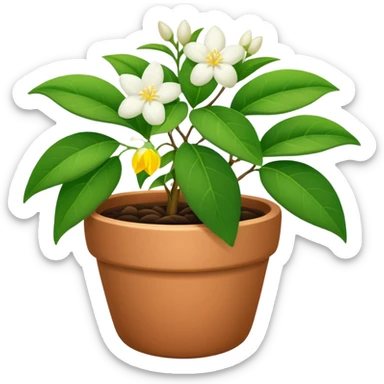 jasmine plant in pot sticker