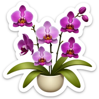 ORCHIDS sticker