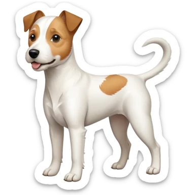 a full body white parson russell looking dog the size of a kelpie with light brown ears and a light brown patch on one eye and a large snout sticker