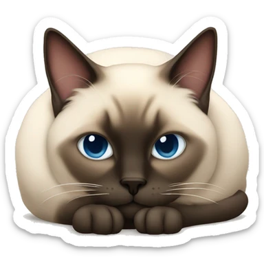 fluffy siamese cat curled up sleeping sticker